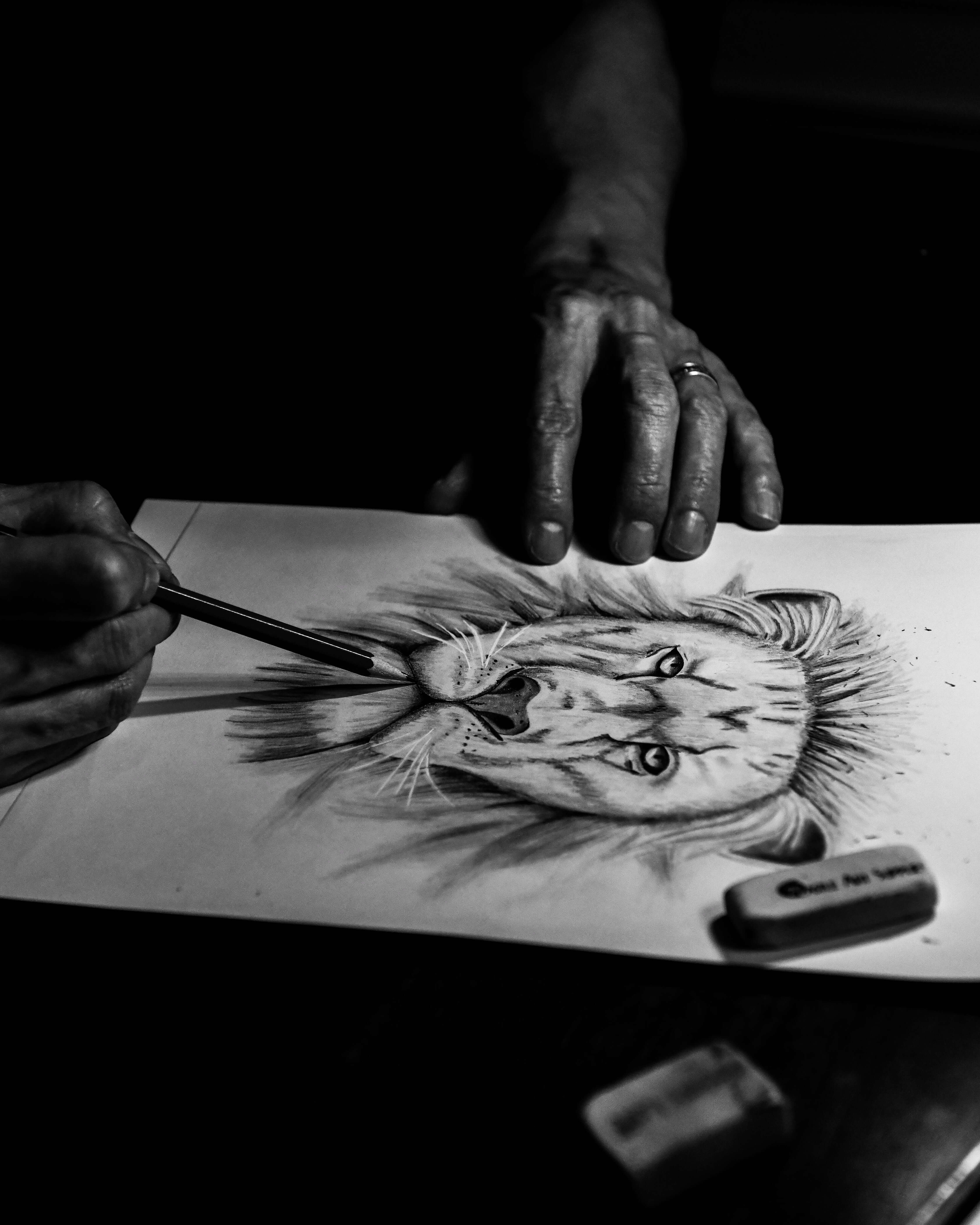 Someone drawing a lion