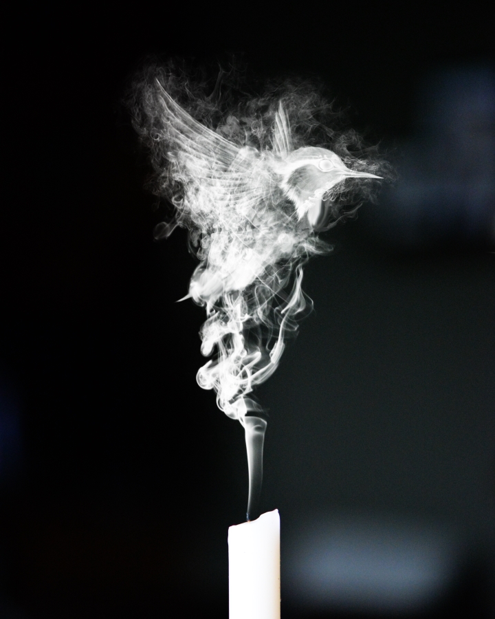 Bird made out of candle smoke