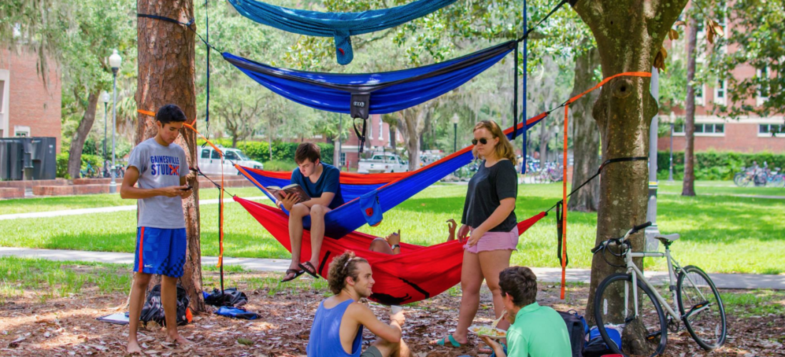 hammock