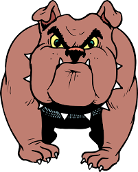 bulldog