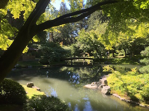 pond