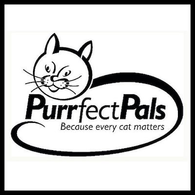 purrfect pals