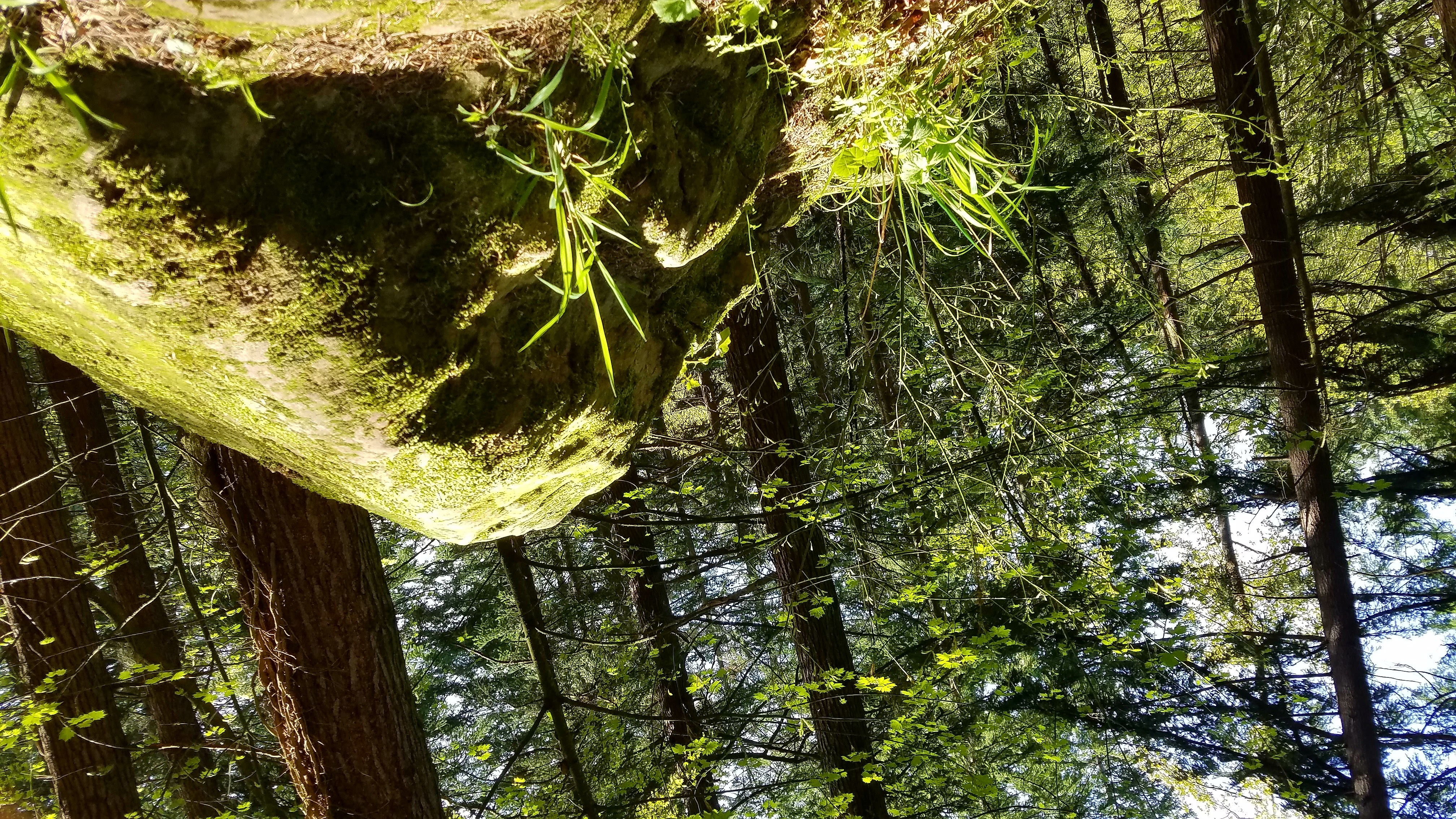 arb 1