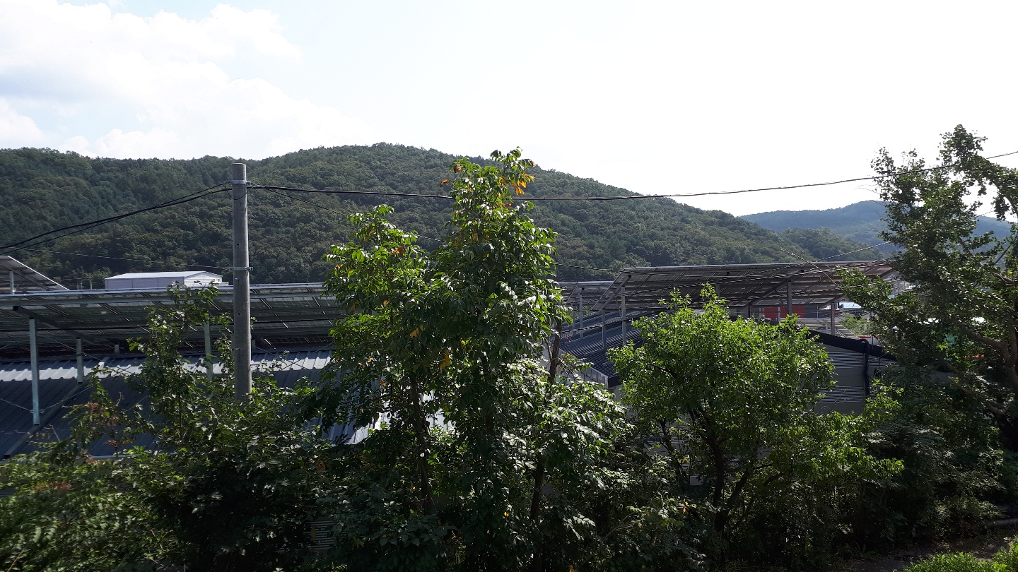 overview3