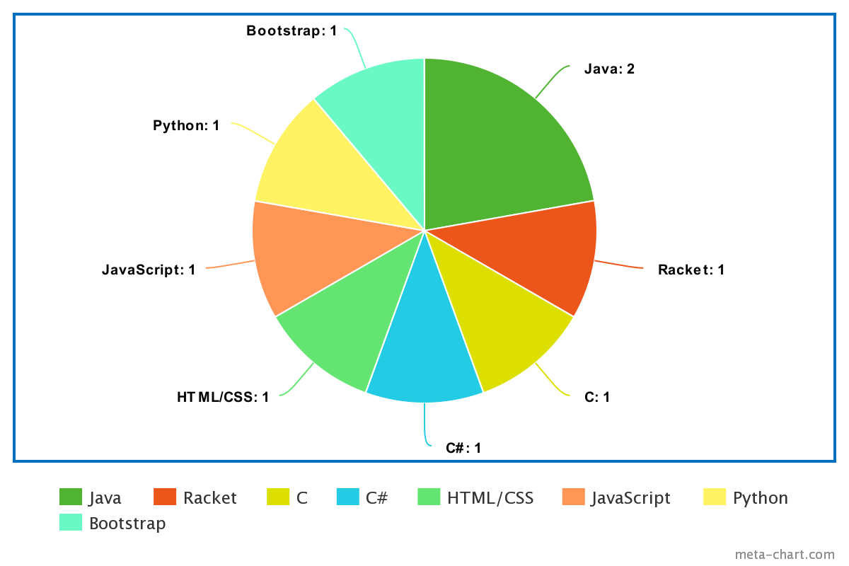 Pie chart of programming experience