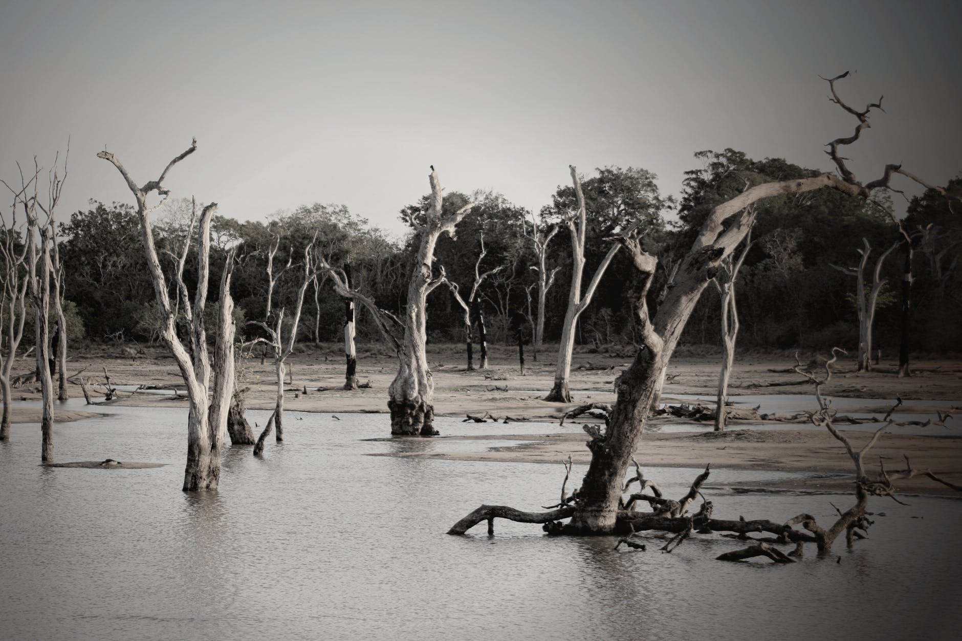 flood