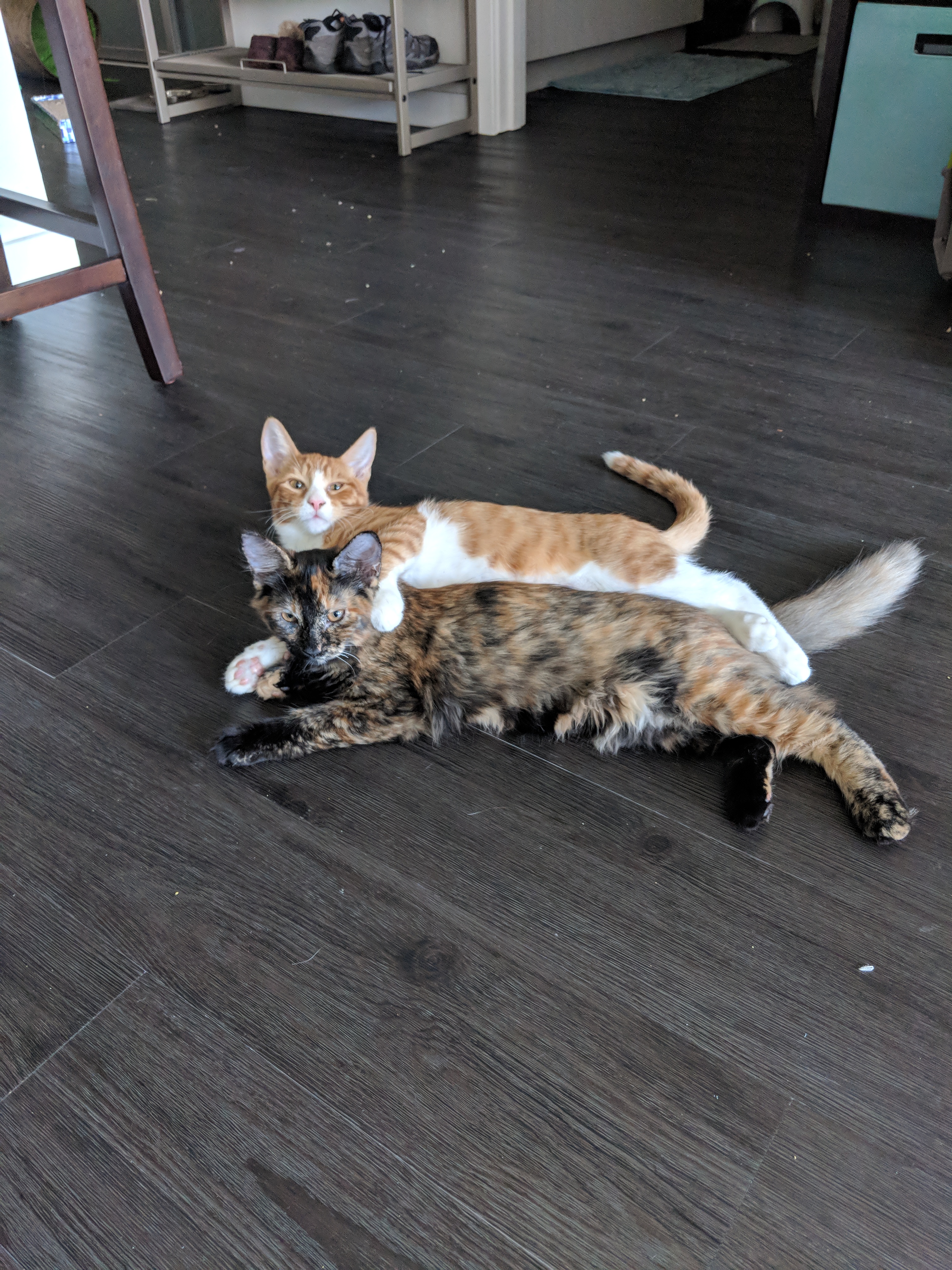 Captain and Natasha